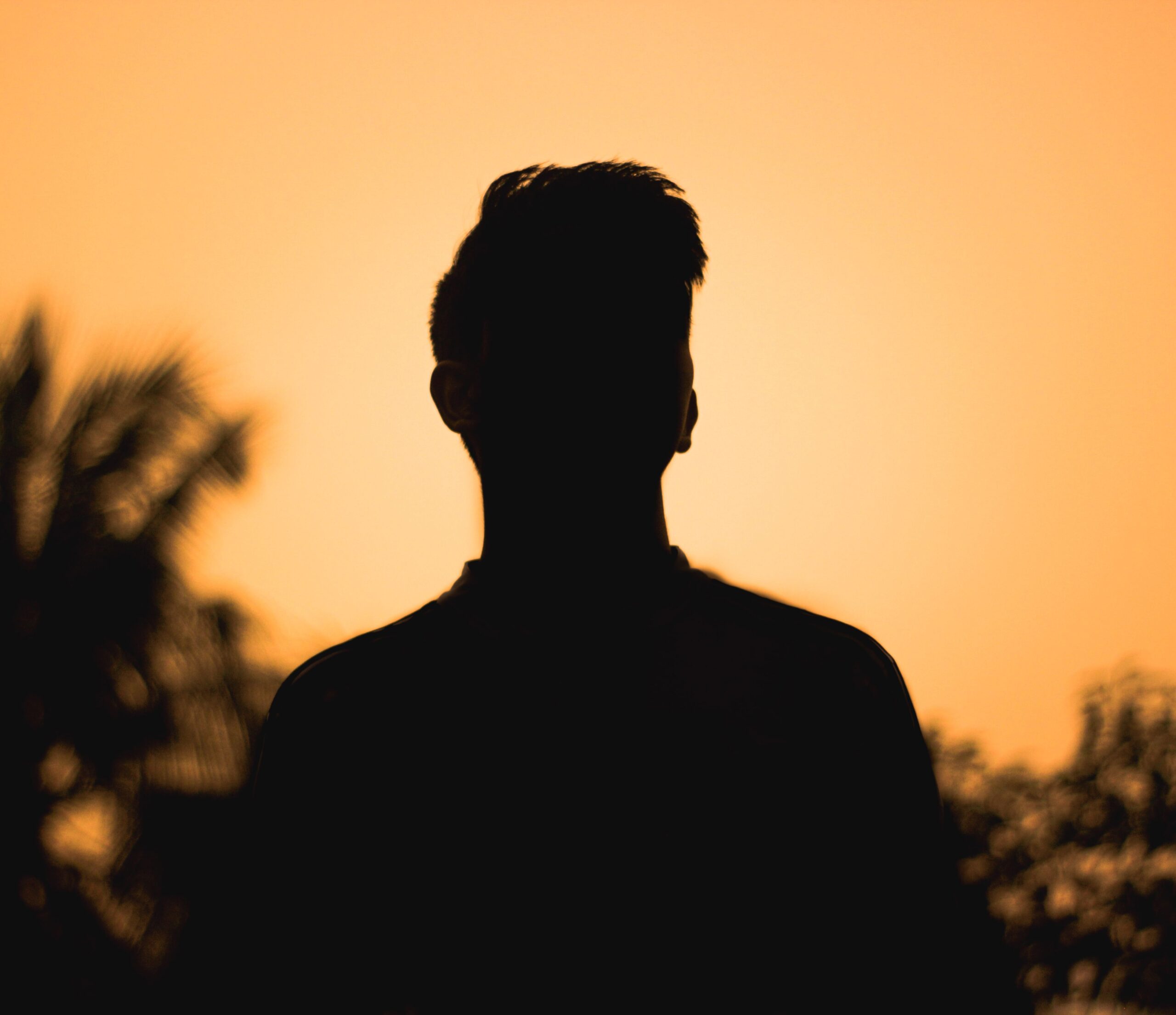 Home Silhouette of a person against a vibrant sunset in Cumilla, Bangladesh.